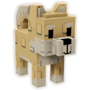 Shiba Inu